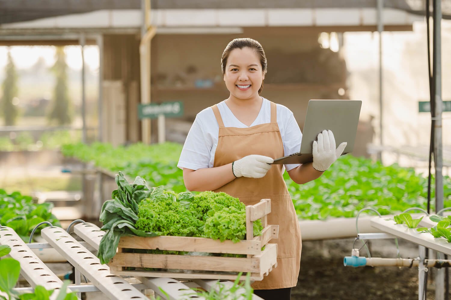 About Agriculture Solution About Agriculture Solution